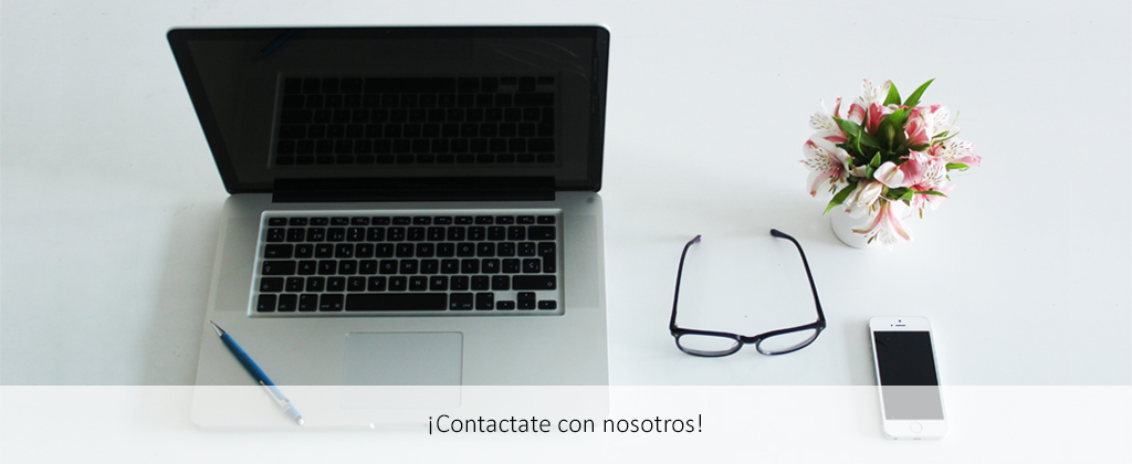 flego diseño moda contacto